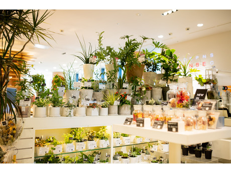 Sense Of Place グランフロント大阪店 Blom Ster フラワーショップスタッフの募集詳細